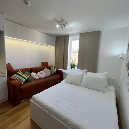 Ema - Jakov Kraljevi Cardaci 科帕奥尼克