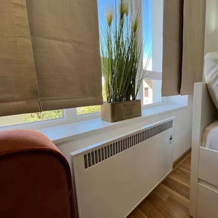 Ema - Jakov Kraljevi Cardaci