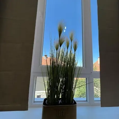 Ema - Jakov Kraljevi Cardaci 公寓