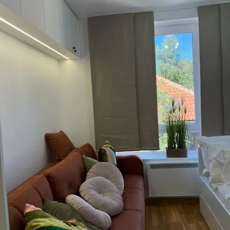 Ema - Jakov Kraljevi Cardaci 科帕奥尼克