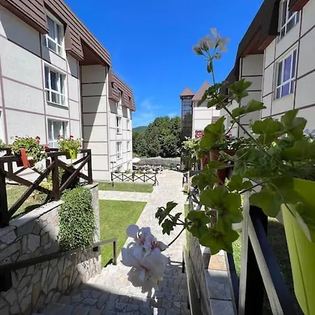 Ema - Jakov Kraljevi Cardaci *