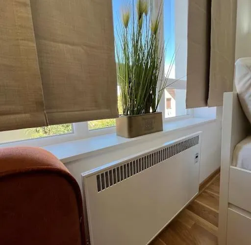 Ema - Jakov Kraljevi Cardaci