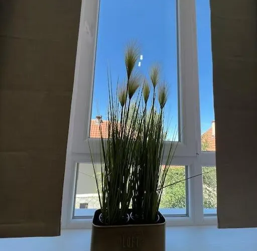 Ema - Jakov Kraljevi Cardaci Διαμέρισμα